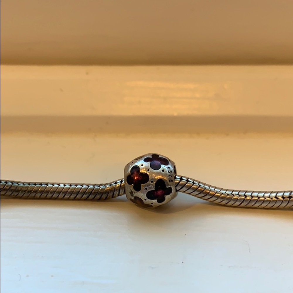 Pandora charm